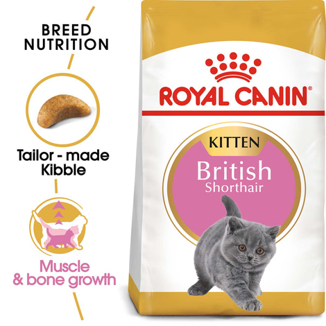 ROYAL CANIN KITTEN British Shorthair 2kg + Kitten in Soße 12x85g