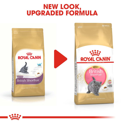 ROYAL CANIN British Shorthair Kittenfutter trocken für Kätzchen