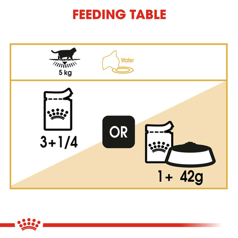 ROYAL CANIN British Shorthair Adult Katzenfutter nass für Britisch Kurzhaar