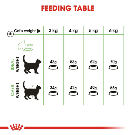 Royal Canin FCN Digestive Care