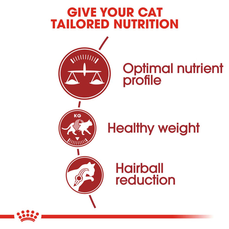 ROYAL CANIN FIT Trockenfutter 10kg + INSTINCTIVE Nassfutter 48x85g