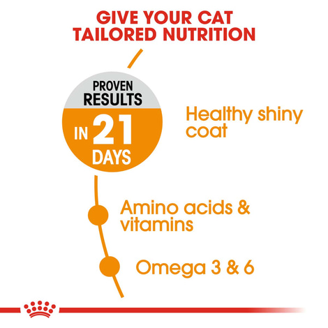 ROYAL CANIN Hair & Skin Care Katzenfutter trocken für gesundes Fell