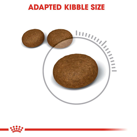ROYAL CANIN Hair & Skin Care Katzenfutter trocken für gesundes Fell