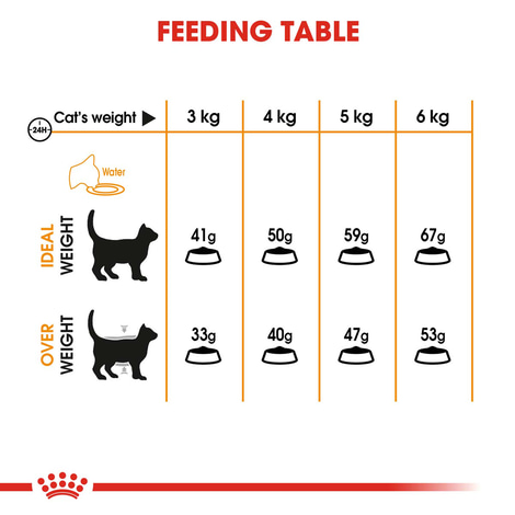 ROYAL CANIN Hair & Skin Care Katzenfutter trocken für gesundes Fell