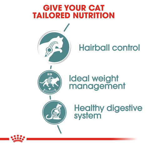 ROYAL CANIN HAIRBALL CARE Trockenfutter 2kg + Nassfutter 12x85g