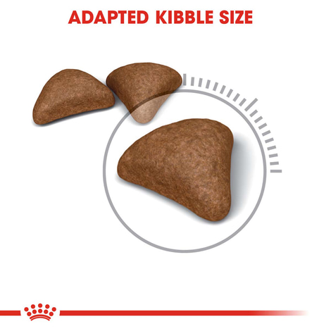 ROYAL CANIN Hairball Care Katzenfutter trocken gegen Haarballen