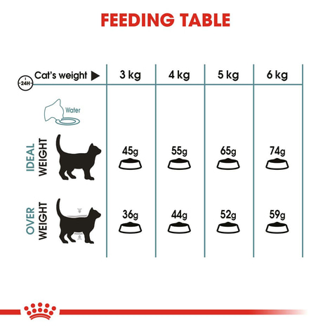 ROYAL CANIN Hairball Care Katzenfutter trocken gegen Haarballen