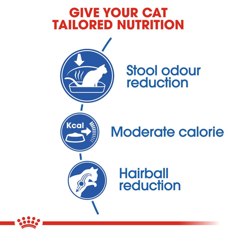 ROYAL CANIN INDOOR 27 Trockenfutter für Wohnungskatzen