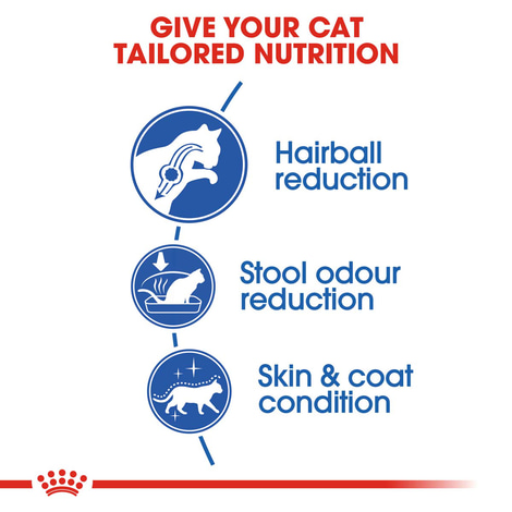 ROYAL CANIN INDOOR Longhair Trockenfutter für Wohnungskatzen mit langem Fell