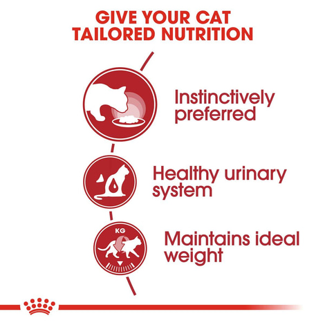 ROYAL CANIN INSTINCTIVE Katzenfutter nass in Soße