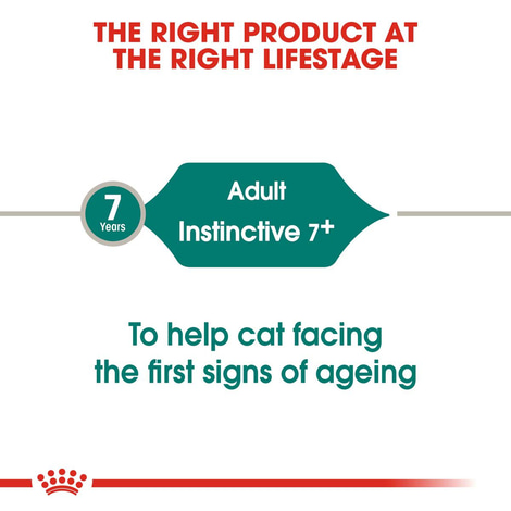 ROYAL CANIN INSTINCTIVE 7+ Nassfutter in Soße für ältere Katzen