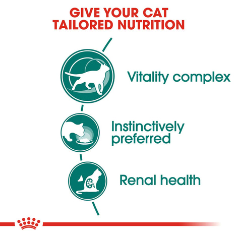 ROYAL CANIN INSTINCTIVE 7+ Nassfutter in Soße für ältere Katzen