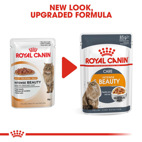 ROYAL CANIN Intense Beauty Katzenfutter nass in Gelee für schönes Fell