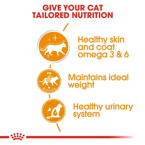 ROYAL CANIN SENSIBLE Trockenfutter 10kg + INTENSE BEAUTY Nassfutter 48x85g