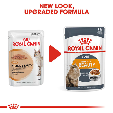 ROYAL CANIN Intense Beauty Katzenfutter nass in Soße für schönes Fell