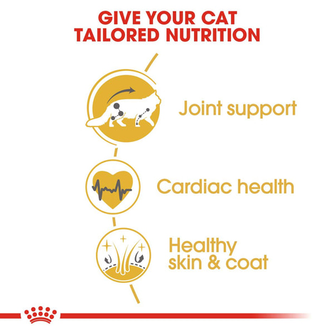 ROYAL CANIN ADULT Maine Coon 10kg + Nassfutter in Soße 48x85g