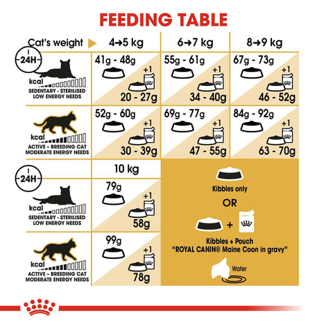 ROYAL CANIN Maine Coon Adult Katzenfutter trocken