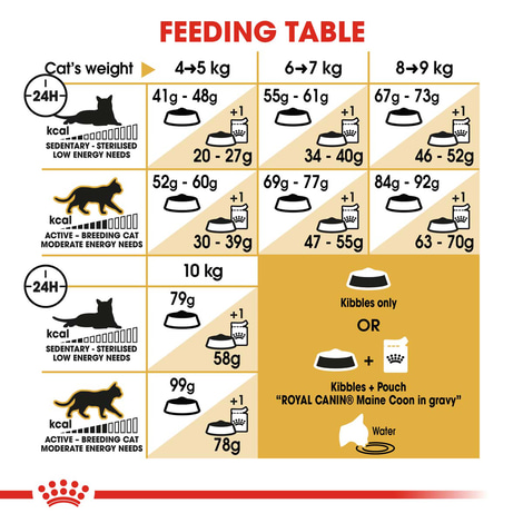 ROYAL CANIN ADULT Maine Coon 10kg + Nassfutter in Soße 48x85g