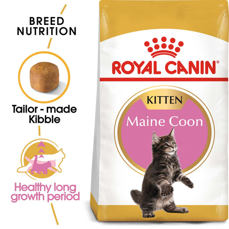 ROYAL CANIN KITTEN Maine Coon 4kg + Kitten in Soße 12x85g