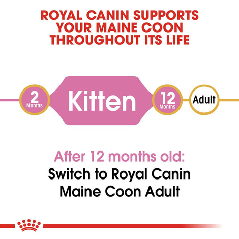 ROYAL CANIN Maine Coon Trockenfutter für Kätzchen