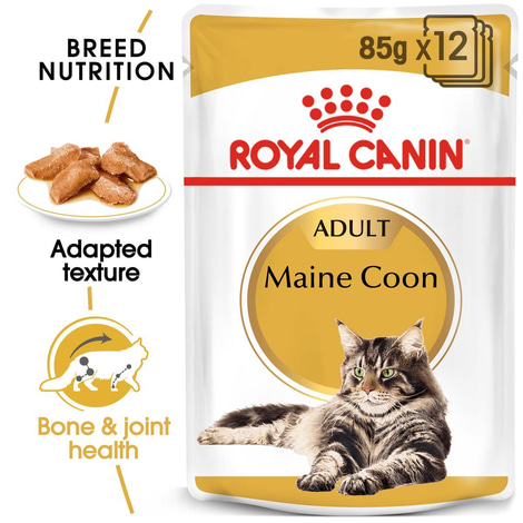 ROYAL CANIN ADULT Maine Coon 10 kg + kapsičky v omáčce 48× 85 g