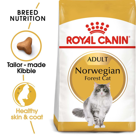 ROYAL CANIN Norwegian Forest Cat Adult pro norské lesní kočky