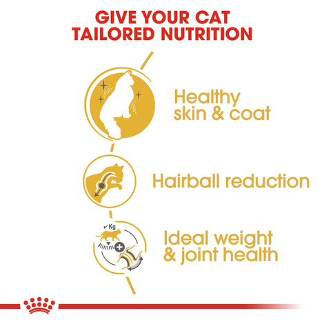 ROYAL CANIN Norwegian Forest Cat Adult Trockenfutter für Norwegische Waldkatzen