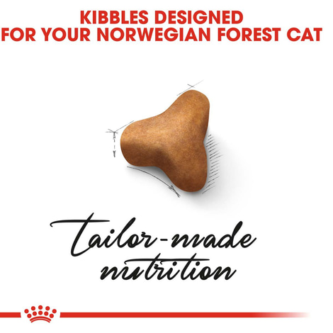 ROYAL CANIN Norwegian Forest Cat Adult Trockenfutter für Norwegische Waldkatzen