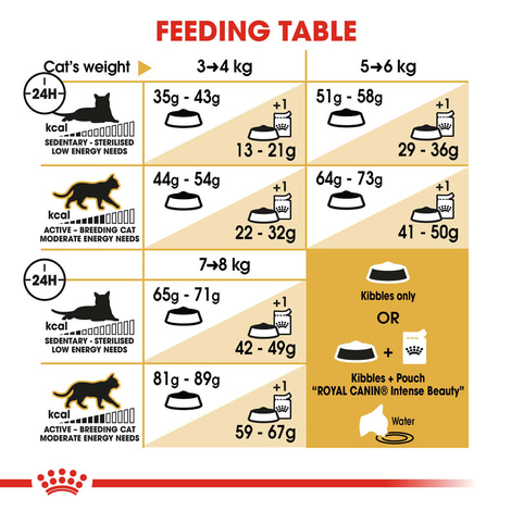ROYAL CANIN Norwegian Forest Cat Adult Trockenfutter für Norwegische Waldkatzen
