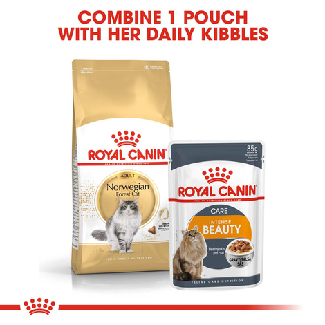 ROYAL CANIN Norwegian Forest Cat Adult Trockenfutter für Norwegische Waldkatzen