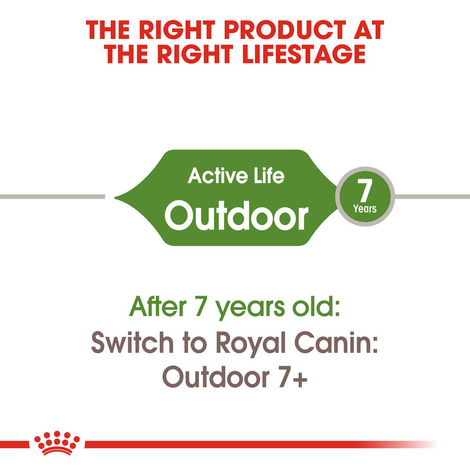 ROYAL CANIN OUTDOOR Katzenfutter trocken für Freigänger