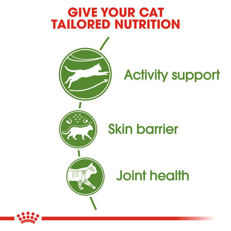 ROYAL CANIN OUTDOOR Katzenfutter trocken für Freigänger