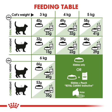 ROYAL CANIN OUTDOOR Katzenfutter trocken für Freigänger
