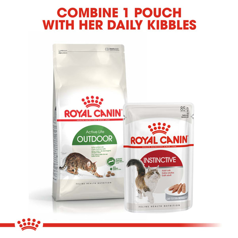 ROYAL CANIN OUTDOOR Katzenfutter trocken für Freigänger