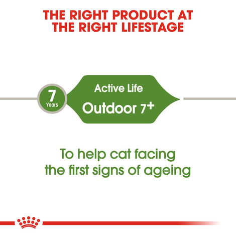 ROYAL CANIN OUTDOOR 7+ Katzenfutter trocken für ältere Freigänger