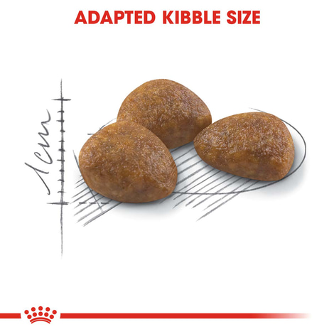 ROYAL CANIN OUTDOOR 7+ Katzenfutter trocken für ältere Freigänger