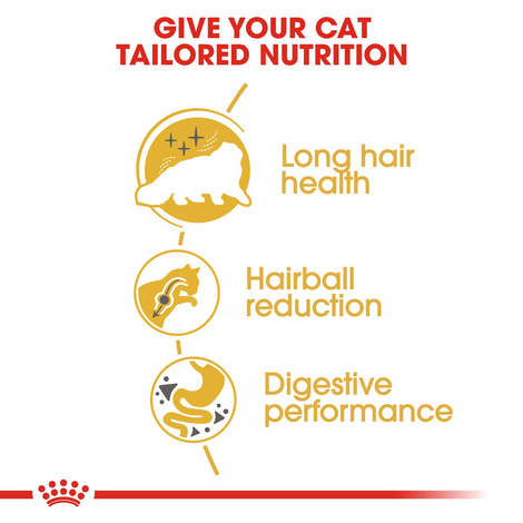 ROYAL CANIN ADULT Persian Trockenfutter 10kg + Nassfutter 48x85g