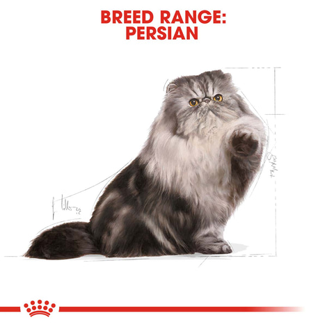 ROYAL CANIN ADULT Persian Trockenfutter 10kg + Nassfutter 48x85g