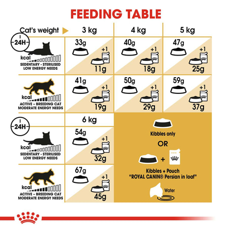 ROYAL CANIN ADULT Persian Trockenfutter 10kg + Nassfutter 48x85g