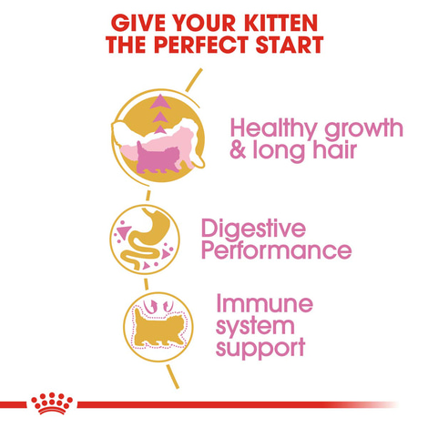 Royal Canin Katzenfutter Kitten Persian