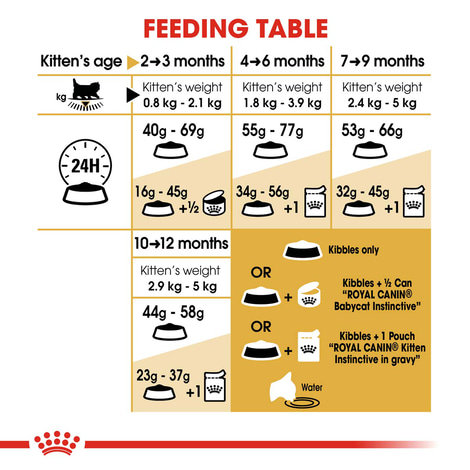 Royal Canin Katzenfutter Kitten Persian