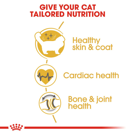 ROYAL CANIN Ragdoll Adult Katzenfutter trocken