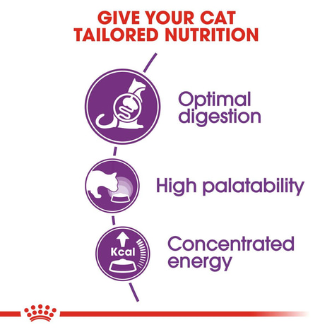 ROYAL CANIN SENSIBLE Trockenfutter 10kg + INTENSE BEAUTY Nassfutter 48x85g