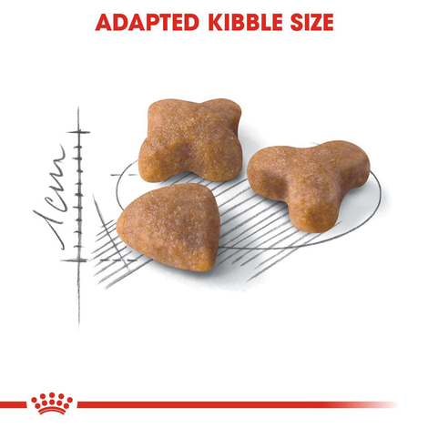ROYAL CANIN SENSIBLE Trockenfutter für sensible Katzen