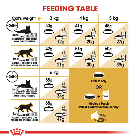 ROYAL CANIN Siamese Adult Katzenfutter trocken