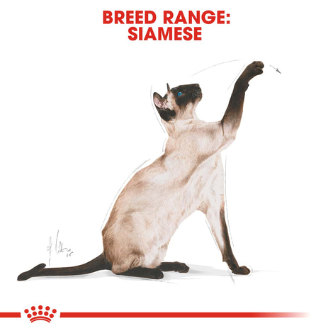ROYAL CANIN Siamese Adult Katzenfutter trocken