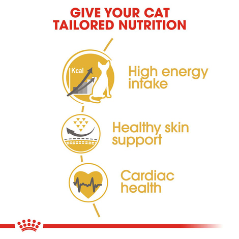 ROYAL CANIN Sphynx Adult Katzenfutter trocken