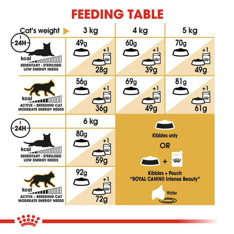 ROYAL CANIN Sphynx Adult Katzenfutter trocken
