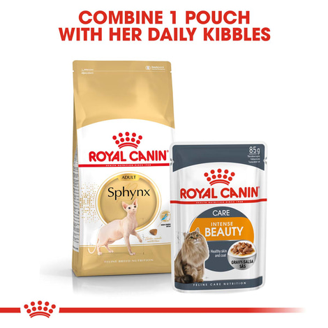 ROYAL CANIN Sphynx Adult Katzenfutter trocken