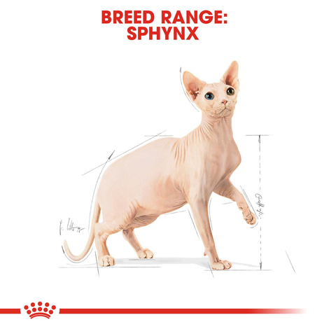 ROYAL CANIN Sphynx Adult Katzenfutter trocken